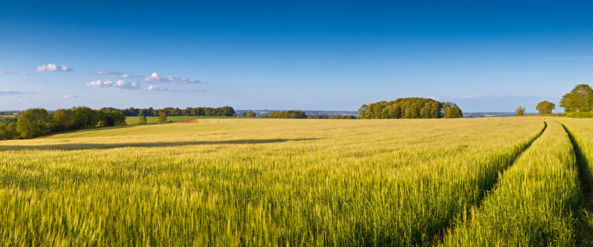 About Us Culbertson Financial Services